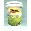 Zinxer Weather Go